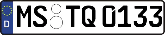 MS-TQ0133