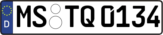 MS-TQ0134