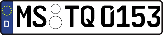 MS-TQ0153