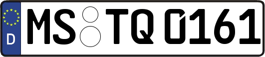 MS-TQ0161