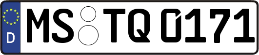 MS-TQ0171