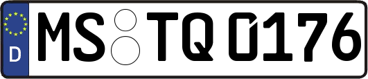 MS-TQ0176