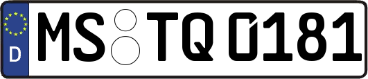 MS-TQ0181
