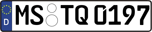MS-TQ0197