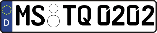 MS-TQ0202
