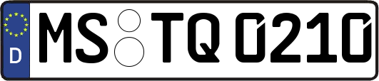 MS-TQ0210