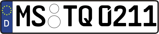 MS-TQ0211