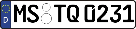 MS-TQ0231