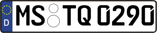 MS-TQ0290