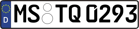 MS-TQ0293