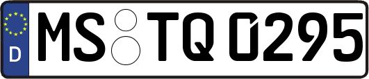 MS-TQ0295