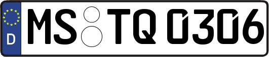 MS-TQ0306