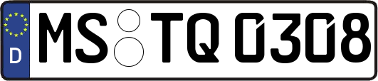 MS-TQ0308