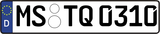 MS-TQ0310