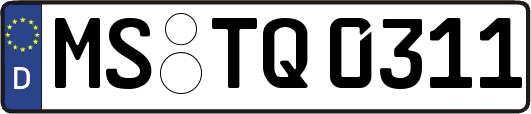 MS-TQ0311
