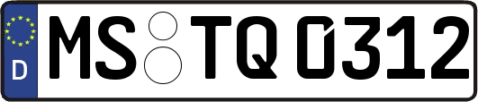 MS-TQ0312