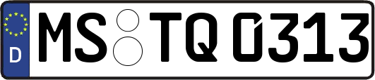 MS-TQ0313