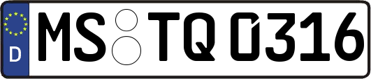 MS-TQ0316