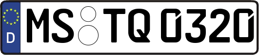 MS-TQ0320