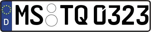 MS-TQ0323