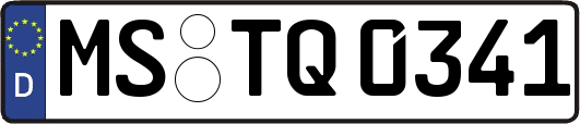 MS-TQ0341
