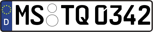 MS-TQ0342