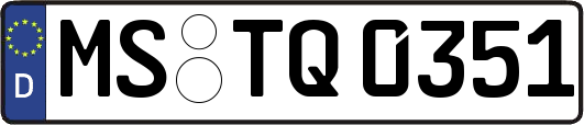 MS-TQ0351
