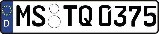 MS-TQ0375