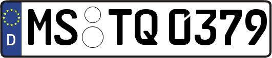 MS-TQ0379