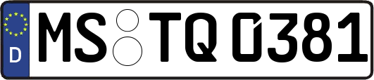 MS-TQ0381