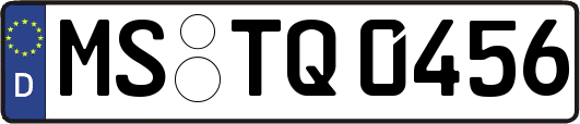 MS-TQ0456