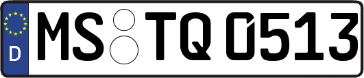 MS-TQ0513