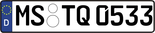 MS-TQ0533