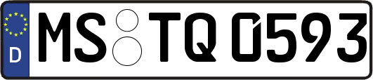 MS-TQ0593