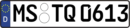 MS-TQ0613