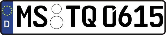 MS-TQ0615