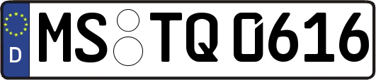 MS-TQ0616