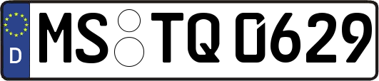 MS-TQ0629