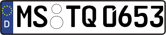 MS-TQ0653