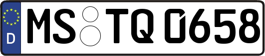 MS-TQ0658
