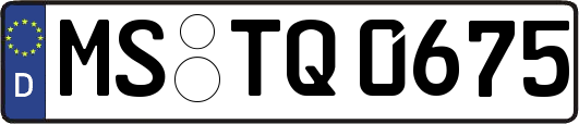 MS-TQ0675