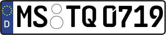 MS-TQ0719
