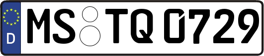 MS-TQ0729