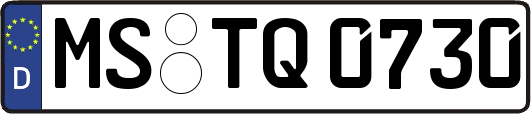MS-TQ0730
