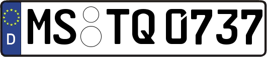 MS-TQ0737