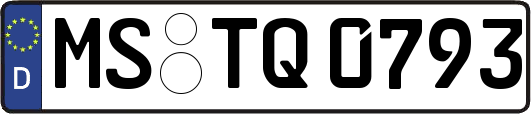 MS-TQ0793