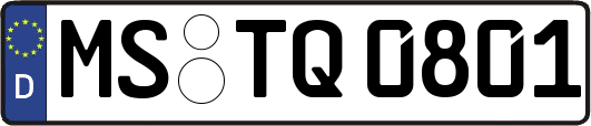 MS-TQ0801