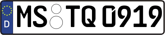 MS-TQ0919