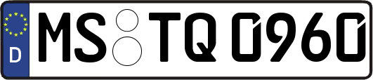 MS-TQ0960