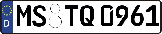 MS-TQ0961